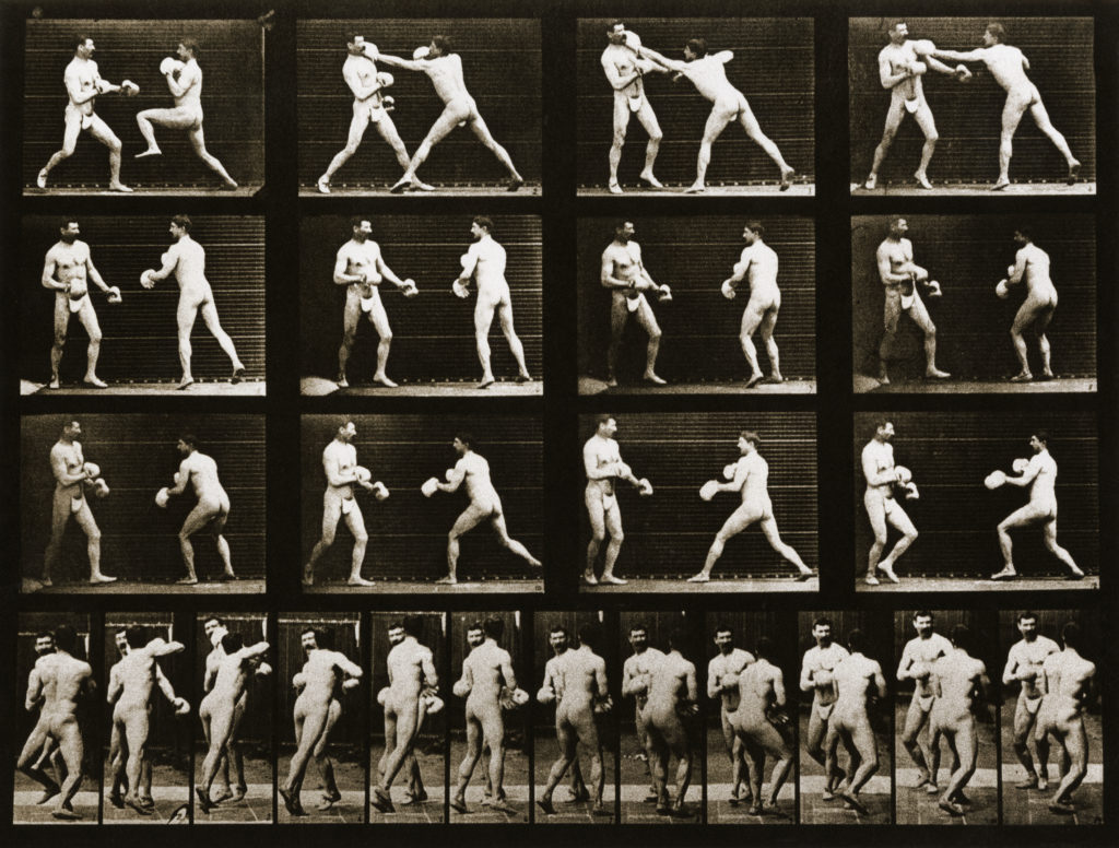 Eardweard Muybridge, Lutte entre deux hommes (série "Animal Locomotion", volume V, pl. 335), photographie. Musée de la Photographie.