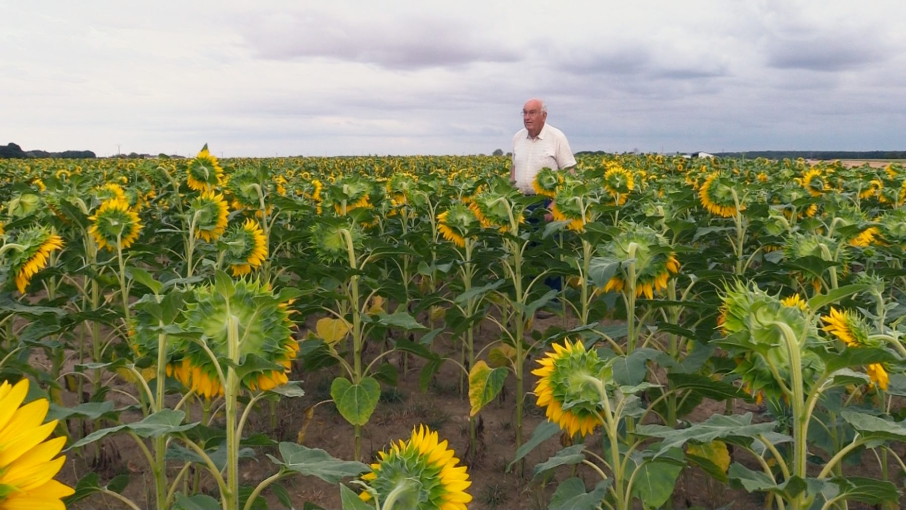 Beau comme un tracteur de Clara Beaudoux