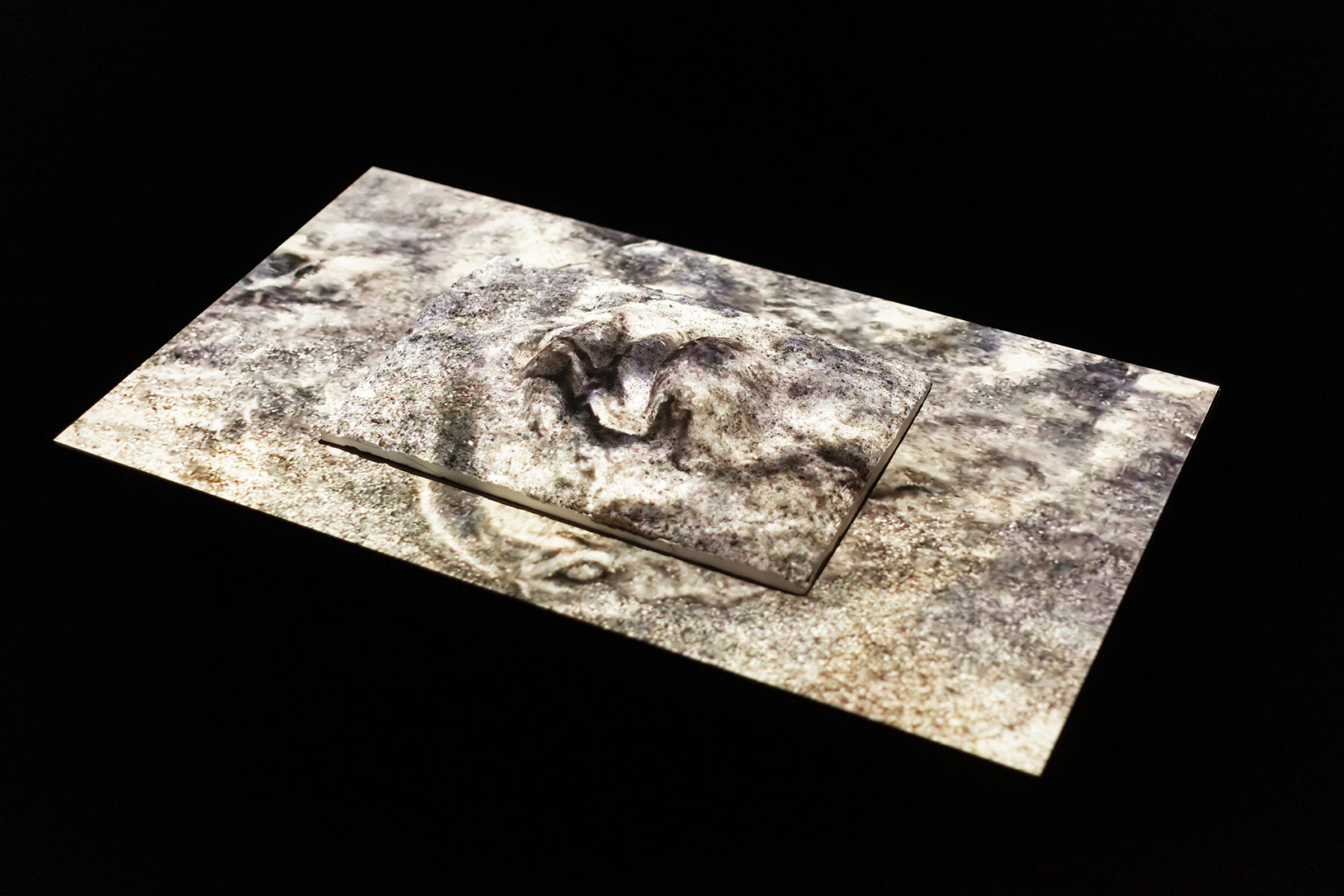 Mondes en formation, projet Terrapolis, 2022 © Barbara Salomé Felgenhauer