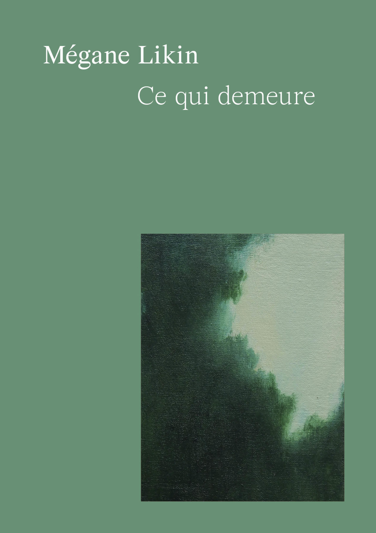 Mégane Likin, Ce qui demeure