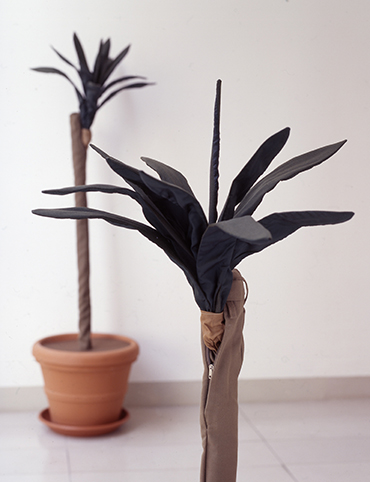 Peter Rosel, Yuccas, 1998. Vue de l’installation au – Uitzicht op de installatie bij – View of the installation at Museum MMK für Moderne Kunst, Francfort. © Photo : Axel Schneider, Francfort