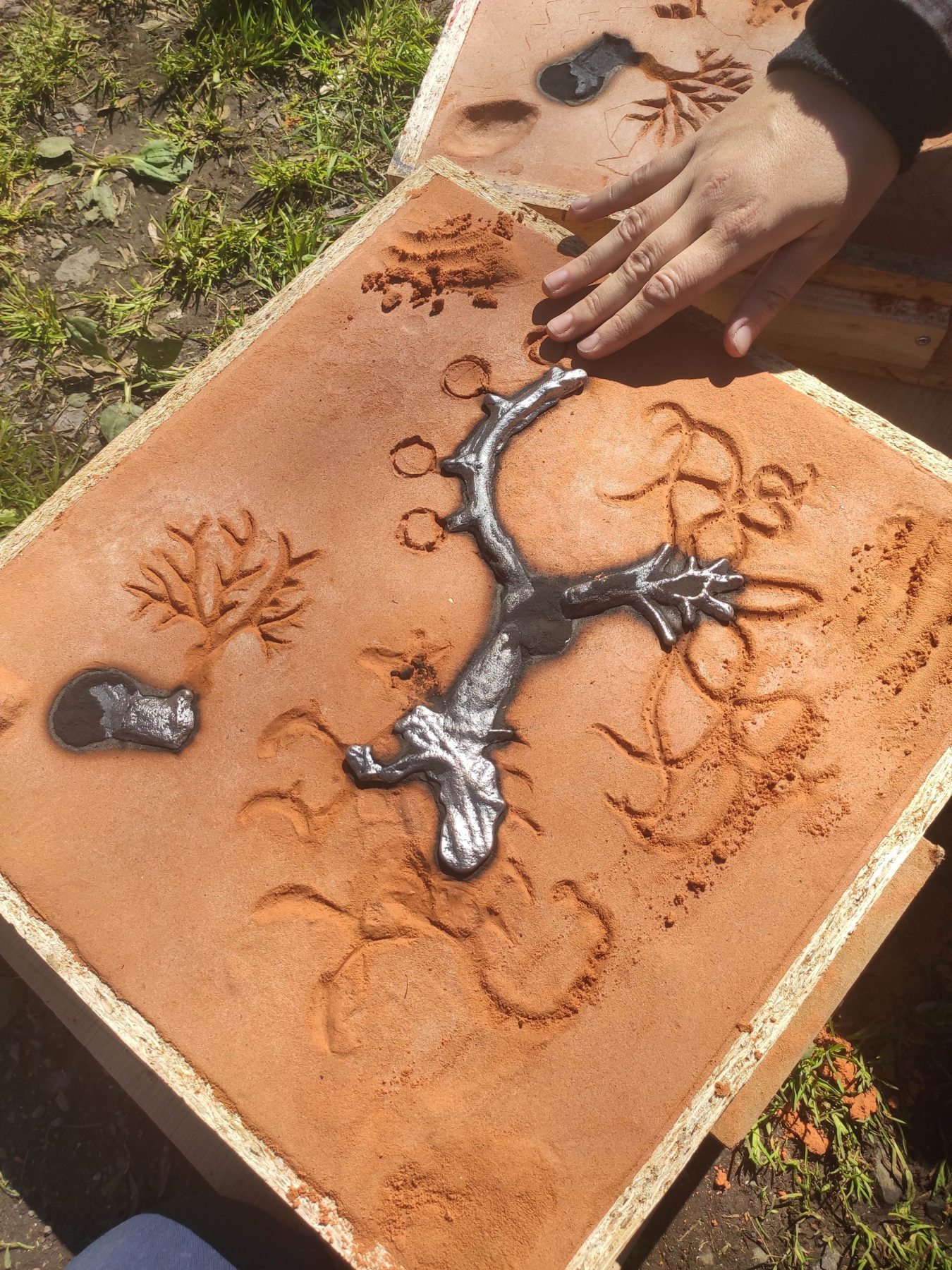 © Coline Ramonet-Bonis