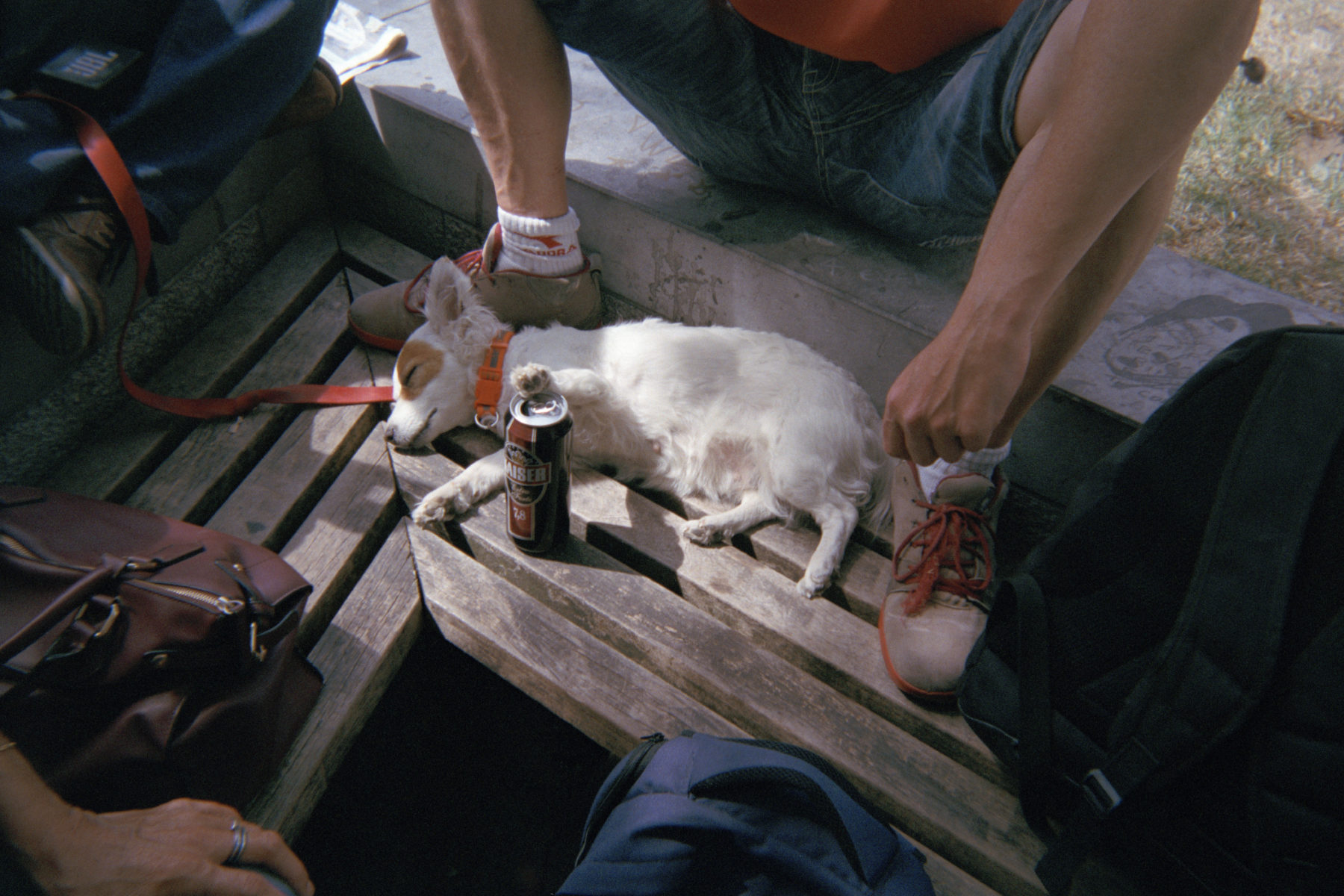 © Vincen Beeckman, Cracks